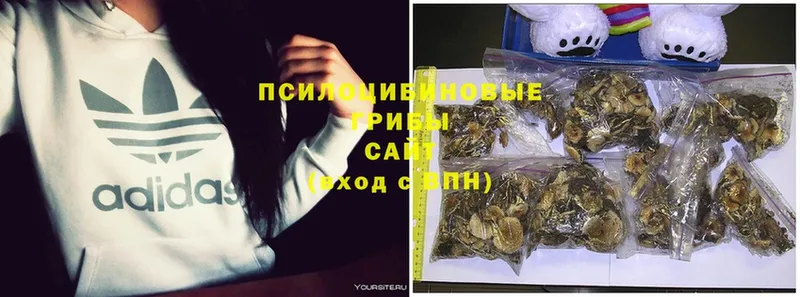 Галлюциногенные грибы Magic Shrooms  купить наркоту  Гуково 